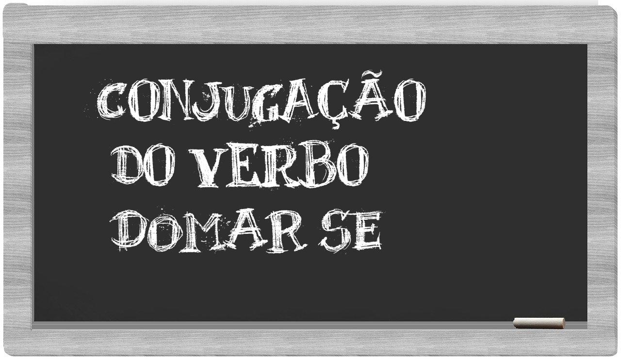 ¿domar se en sílabas?