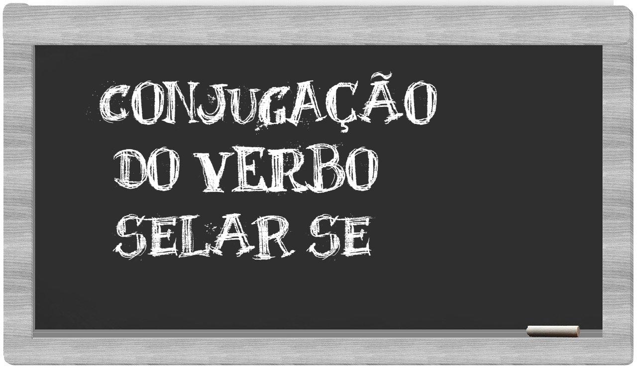 ¿selar se en sílabas?